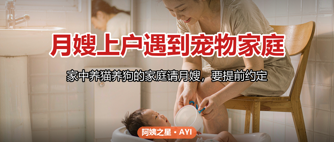 月嫂上户遇到宠物家庭：猫狗卫生和新生儿看护边界